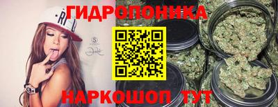 первитин Гусев