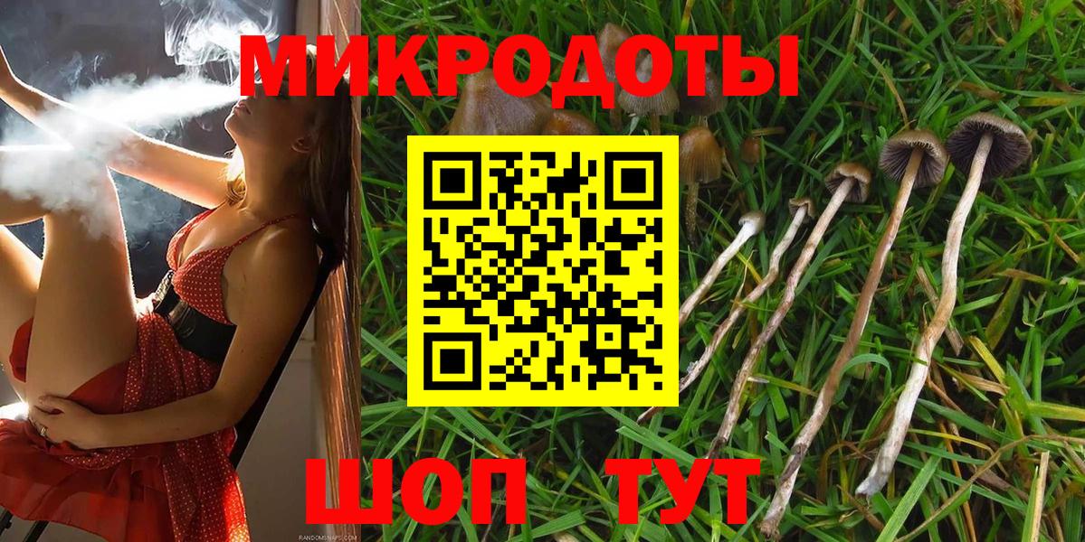 Псилоцибиновые грибы Psilocybine cubensis Лянтор